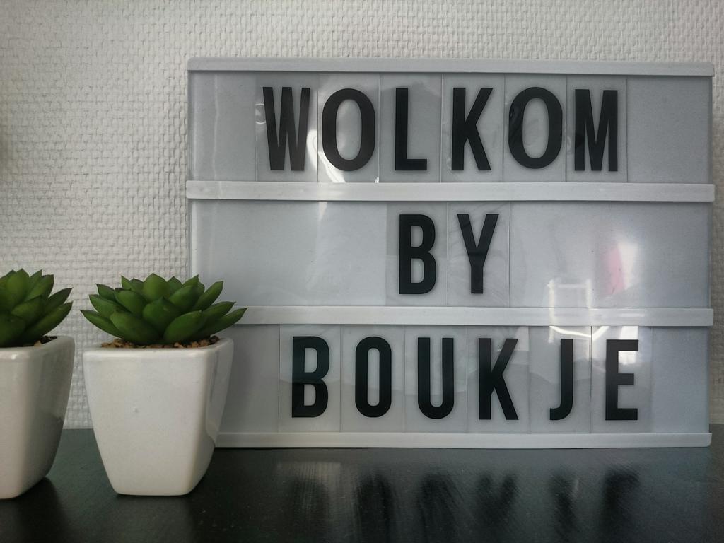 B&B Byboukje Earnewâld Exteriör bild